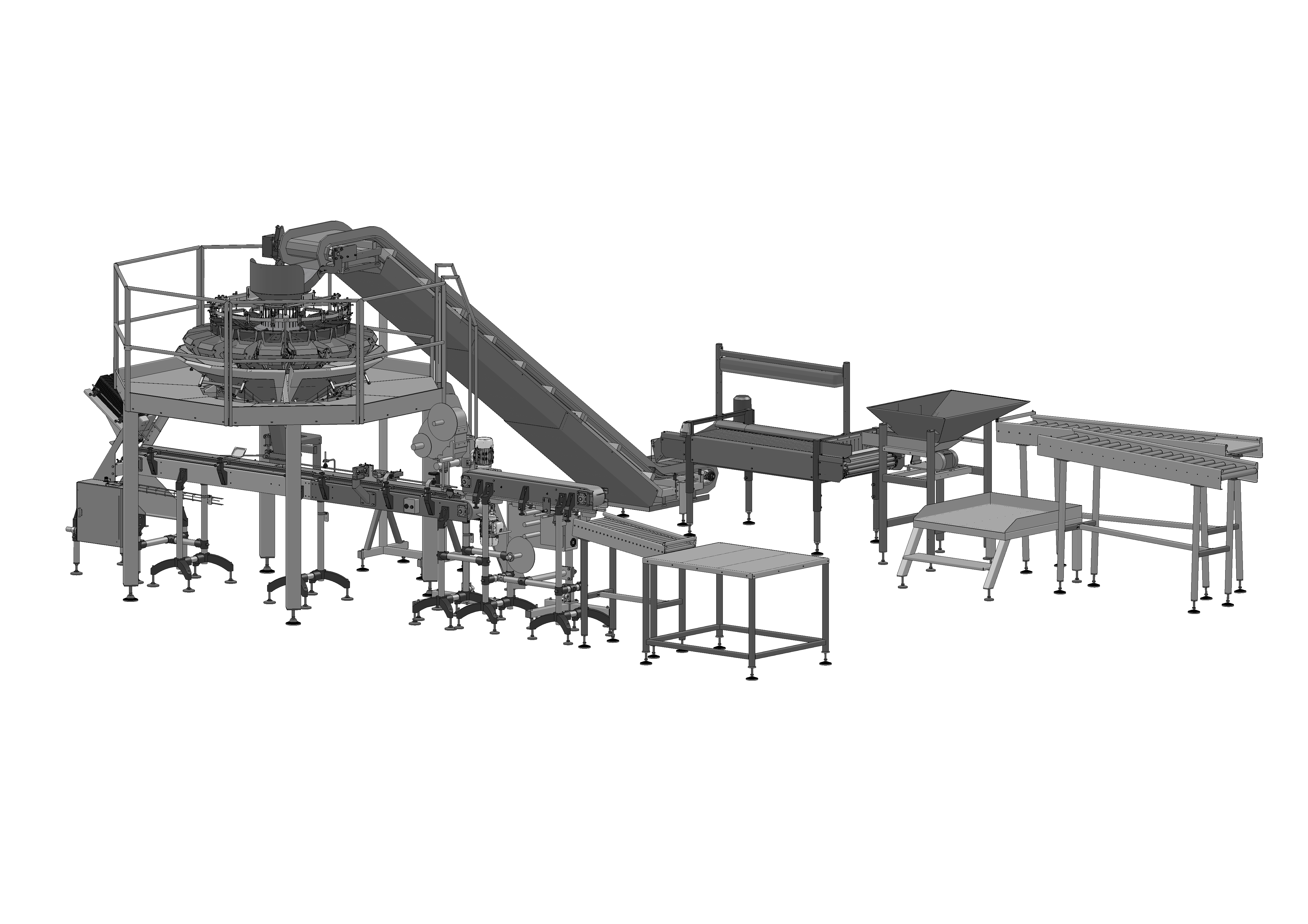 Cherry tomato weighing and packaging line